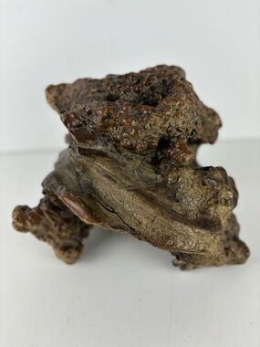 Natural Burl Wood Root Sculpture/Rustic Decor/Unique Organic Form
